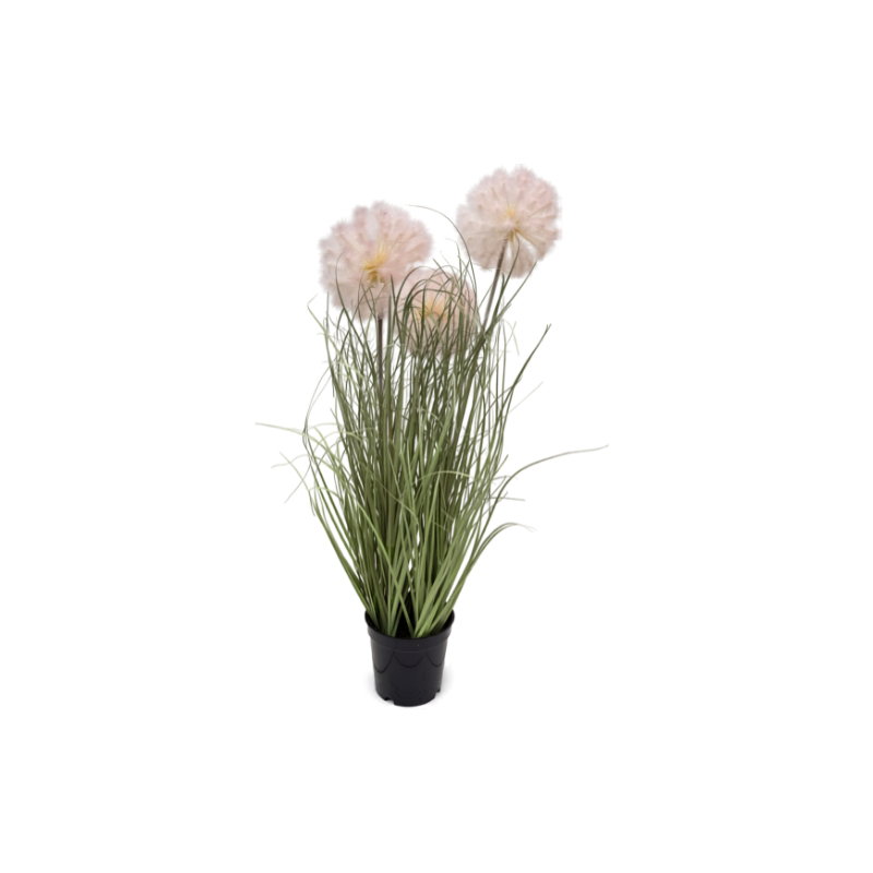 https://cdn.warentuin.nl/media/catalog/product/S/C/SCAN9900001971938_paardenbloem_siergras_lichtroze_h_56_cm_ku_95c2.jpg