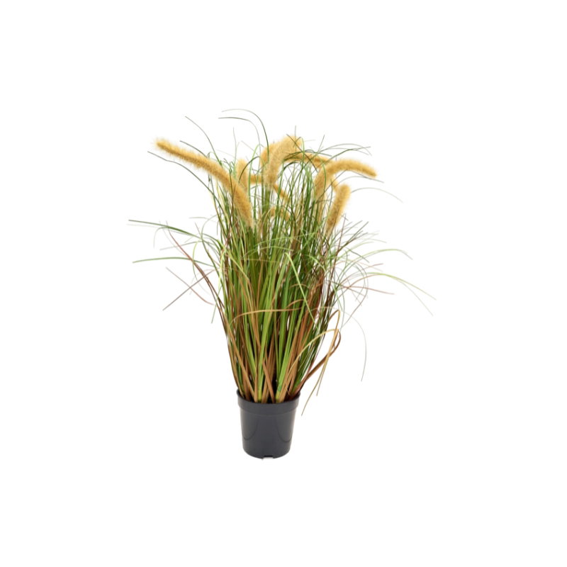 https://cdn.warentuin.nl/media/catalog/product/S/C/SCAN9900001971969_pluimgras_geel_h_53_cm_kunstplant_oosterik_13ab.jpg
