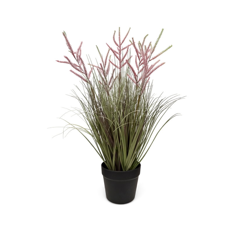 https://cdn.warentuin.nl/media/catalog/product/S/C/SCAN9900001972003_dogtail_siergras_roze_h_76_cm_kunstplant_o_9e76.jpg