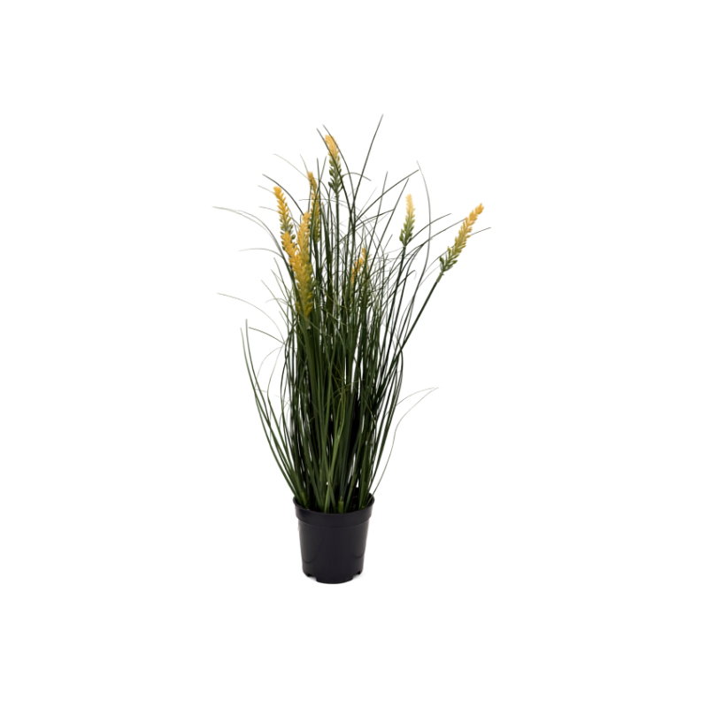 https://cdn.warentuin.nl/media/catalog/product/S/C/SCAN9900001972089_pennisetum_fonteingras_geel_in_pot_h_56_ku_86b0.jpg