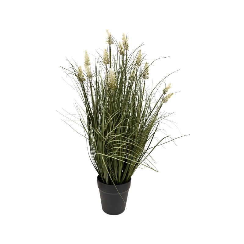 https://cdn.warentuin.nl/media/catalog/product/S/C/SCAN9900001972096_pennisetum_fonteingras_wit_in_pot_h_65_kun_61a5.jpg