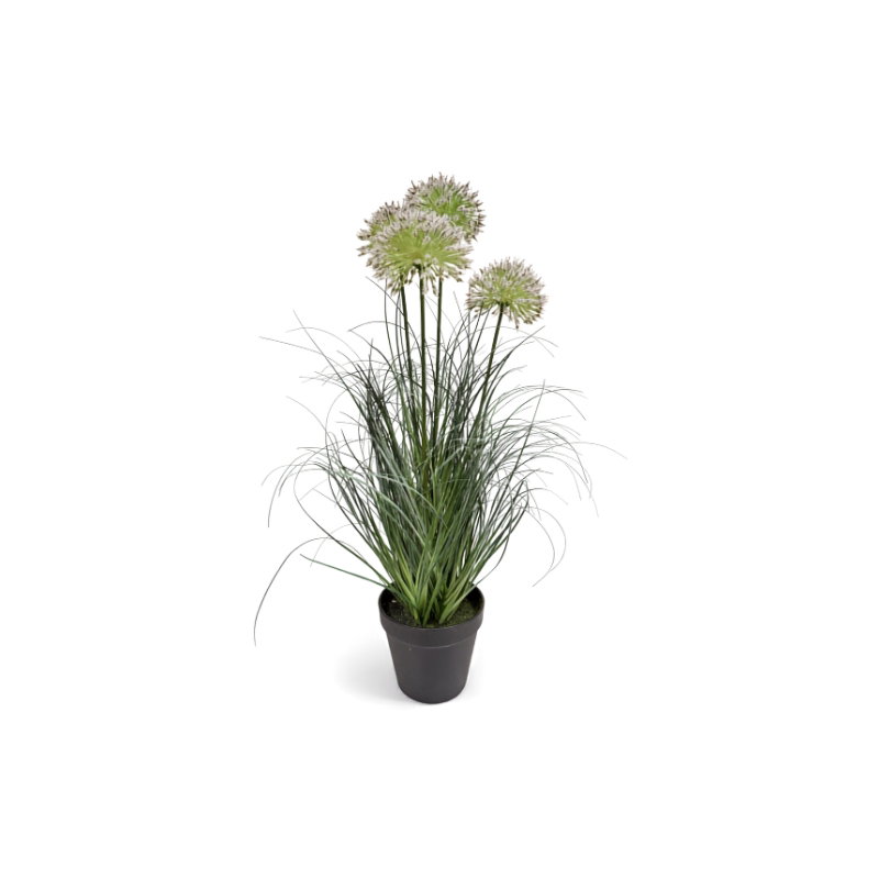 https://cdn.warentuin.nl/media/catalog/product/S/C/SCAN9900001972171_allium_siergras_wit_h_57_cm_kunstplant_oos_e943.jpg