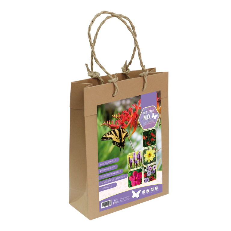 https://cdn.warentuin.nl/media/catalog/product/S/C/SCAN_8719214054984_baltus_bloembollen_vlinderpakket_27e8.png