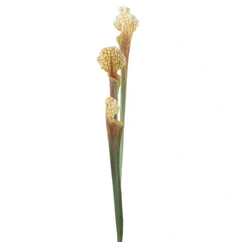Sarracenia flava orange 62 cm kunstbloem - Nova nature