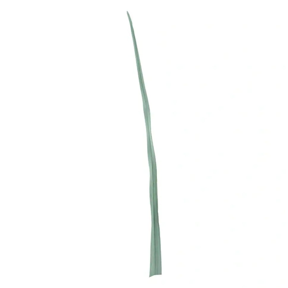 https://cdn.warentuin.nl/media/catalog/product/S/i/Sisal_leaf_green_110_cm_kunstbloem_Nova_Nature_e5df.png