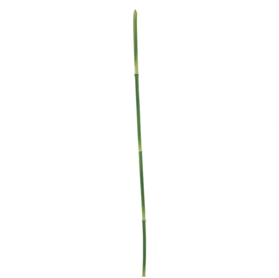 https://cdn.warentuin.nl/media/catalog/product/S/n/Snake_grass_green_108_cm_kunstbloem_Nova_Nature_7251.png