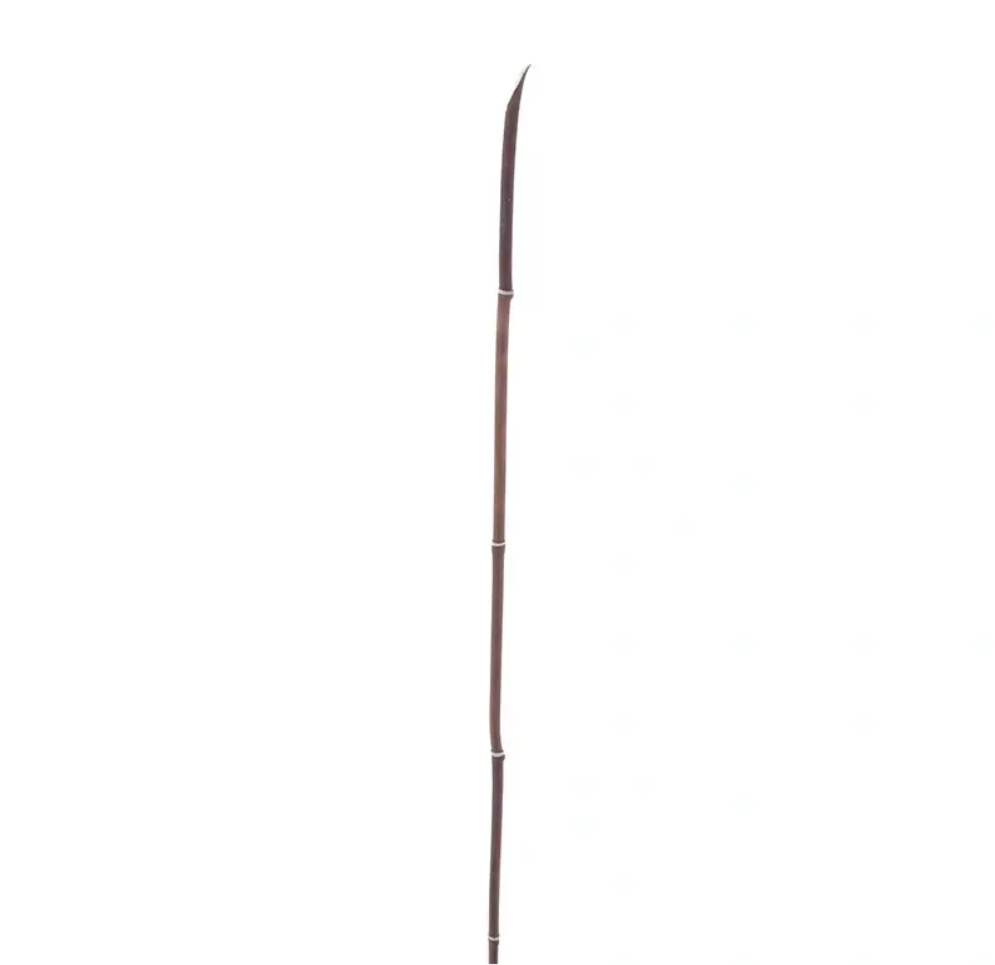 https://cdn.warentuin.nl/media/catalog/product/S/n/Snake_grass_red_108_cm_kunstbloem_Nova_Nature_1a63.png