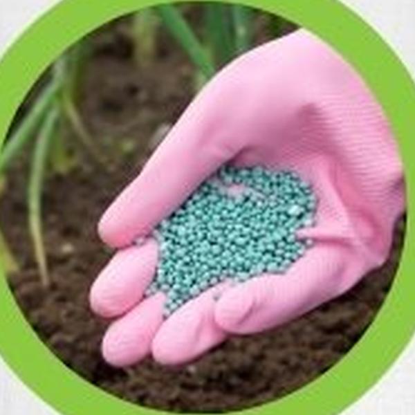 https://cdn.warentuin.nl/media/catalog/product/T/H/THEM2145566440056_01_warentuineen_vierdemix_bemeste_tuinaarde_grond_25_liter_07fd.jpg