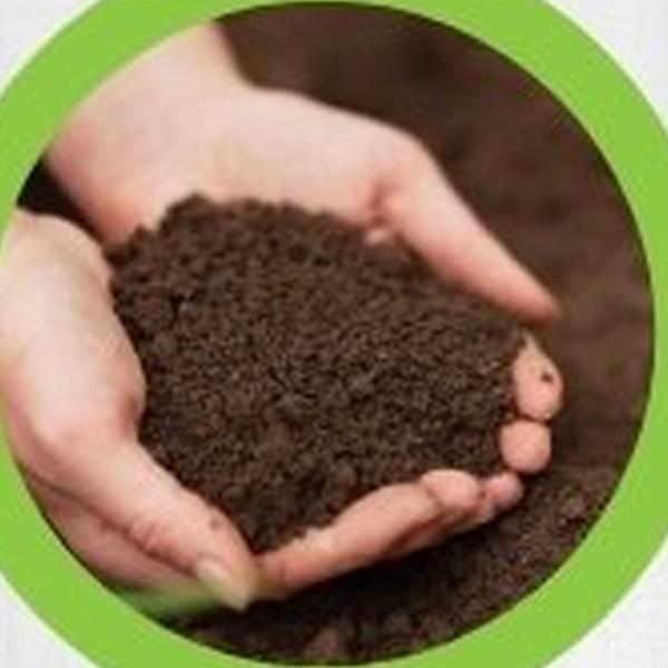 https://cdn.warentuin.nl/media/catalog/product/T/H/THEM2145566440065_01_warentuineen_vierdemix_aanplant_vasteplanten_tuinplanten_g_9f83.jpg