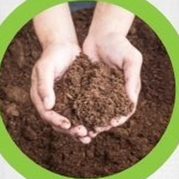 https://cdn.warentuin.nl/media/catalog/product/T/H/THEM2145566440070_01_warentuineen_vierdemix_tuinturf_grond_aarde_40_liter_13d5.jpg