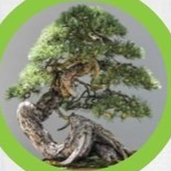 https://cdn.warentuin.nl/media/catalog/product/T/H/THEM2145566440355_01_warentuineen_vierdemix_potgrond_bonsai_aarde_grond_10_lite_1097.jpg