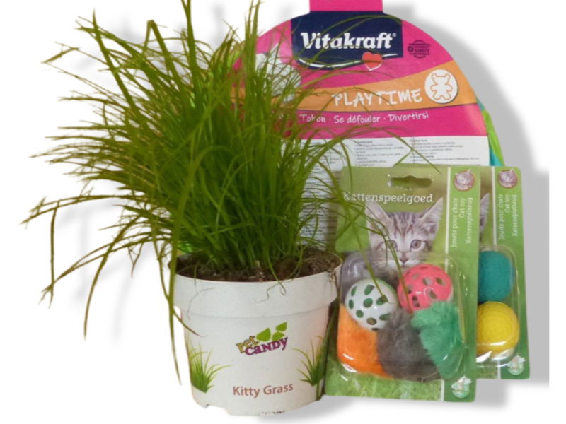https://cdn.warentuin.nl/media/catalog/product/T/H/THEM4146516130151_01_warentuin_mix_cadeaupakket_kattenspeeltjes_m_4f34.jpg