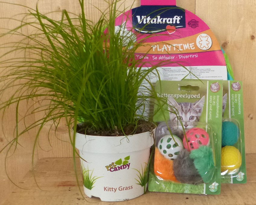 Cadeaupakket kattenspeeltjes met kattengras voor je kat - Warentuin Mix