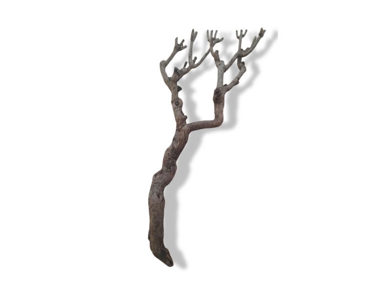 https://cdn.warentuin.nl/media/catalog/product/T/H/THEM5146325478837_01_warentuin_natuurlijk_decoratie_tak_klein_20__7f3b.jpg