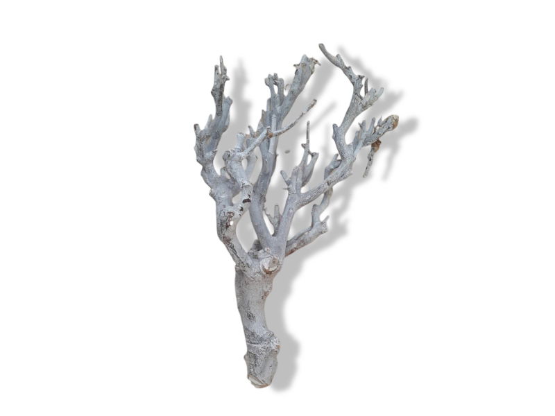 https://cdn.warentuin.nl/media/catalog/product/T/H/THEM5146325478838_01_warentuin_natuurlijk_decoratie_tak_wit_20_to_efbe.jpg