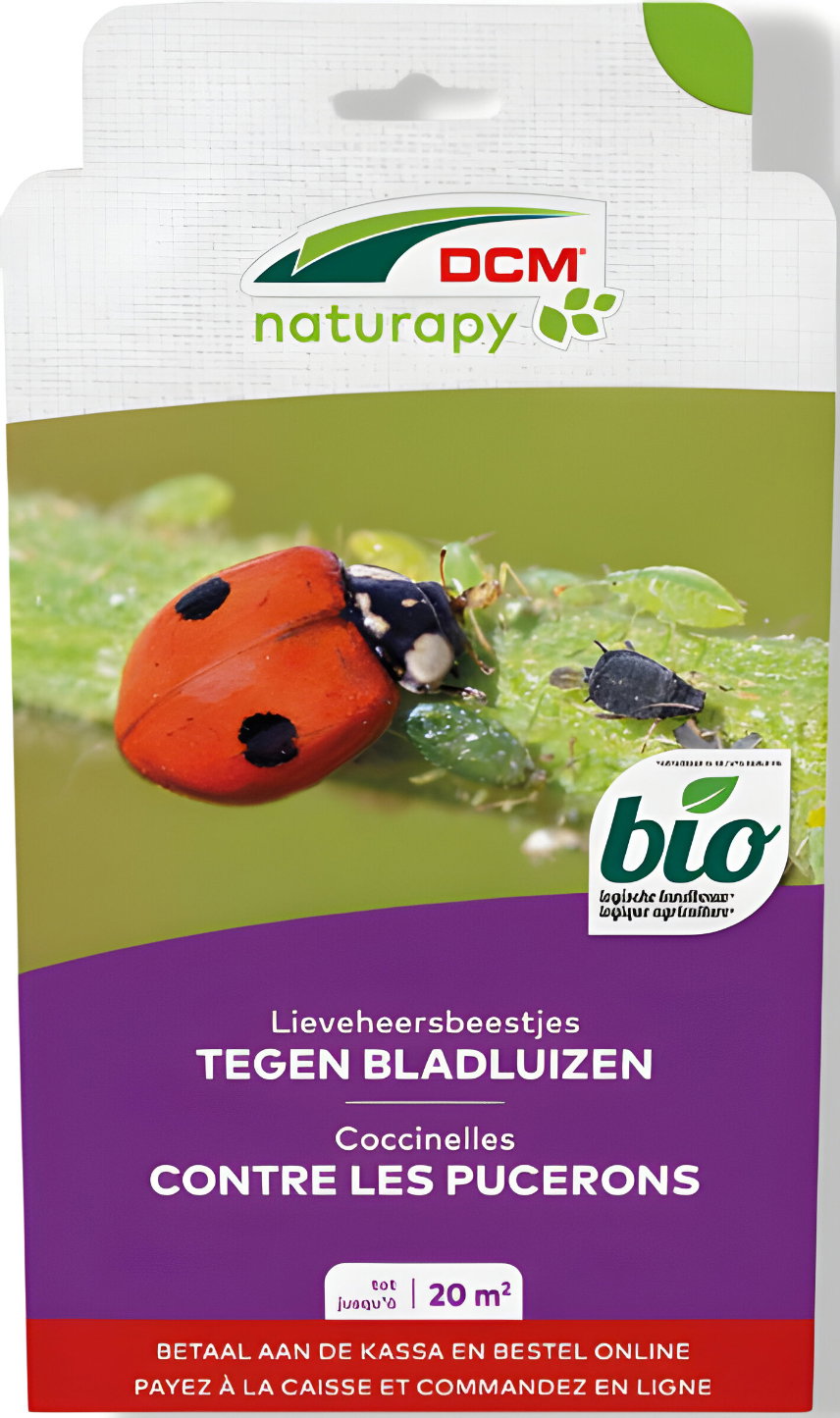 https://cdn.warentuin.nl/media/catalog/product/T/H/THEM5413448123852_01_dcm_natuurlijke_vijanden_lieveheersbeestjes_tegen_bladluiz_8534.jpg