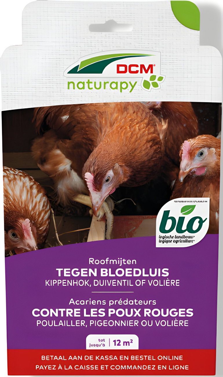 https://cdn.warentuin.nl/media/catalog/product/T/H/THEM5413448123906_01_dcm_natuurlijke_vijanden_roofmijten_tegen_bloedluis_of_rod_a01d.jpg