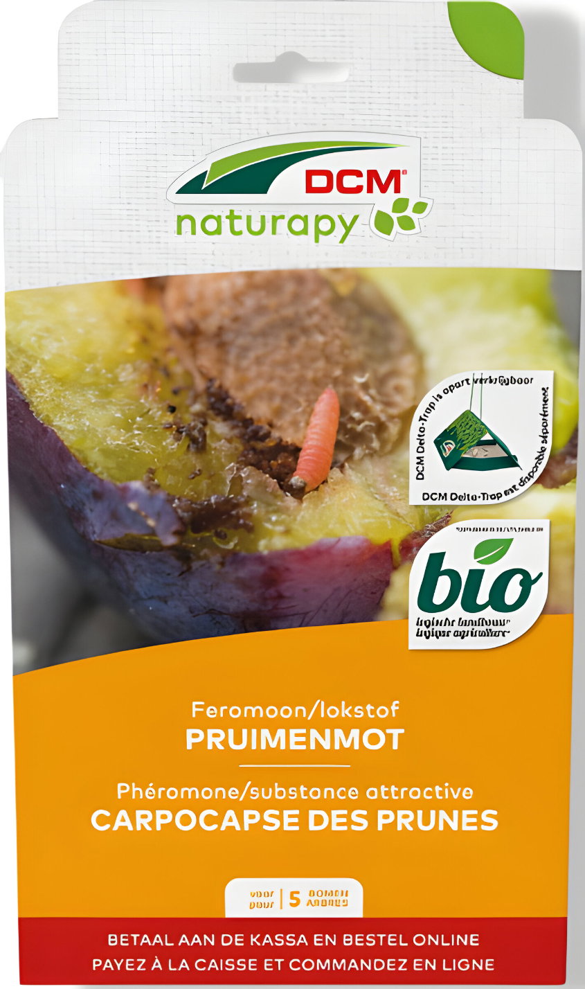 https://cdn.warentuin.nl/media/catalog/product/T/H/THEM5413448124033_01_dcm_natuurlijke_vijanden_feromoon_lokstof_pruimenmot_5_bom_85a5.jpg