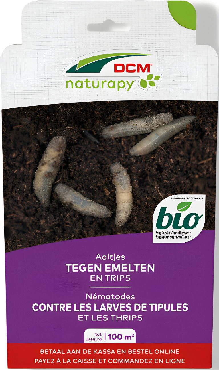 https://cdn.warentuin.nl/media/catalog/product/T/H/THEM5413448125993_01_dcm_natuurlijke_vijanden_aaltjes_tegen_emelten_en_trips_10_70ac.jpg