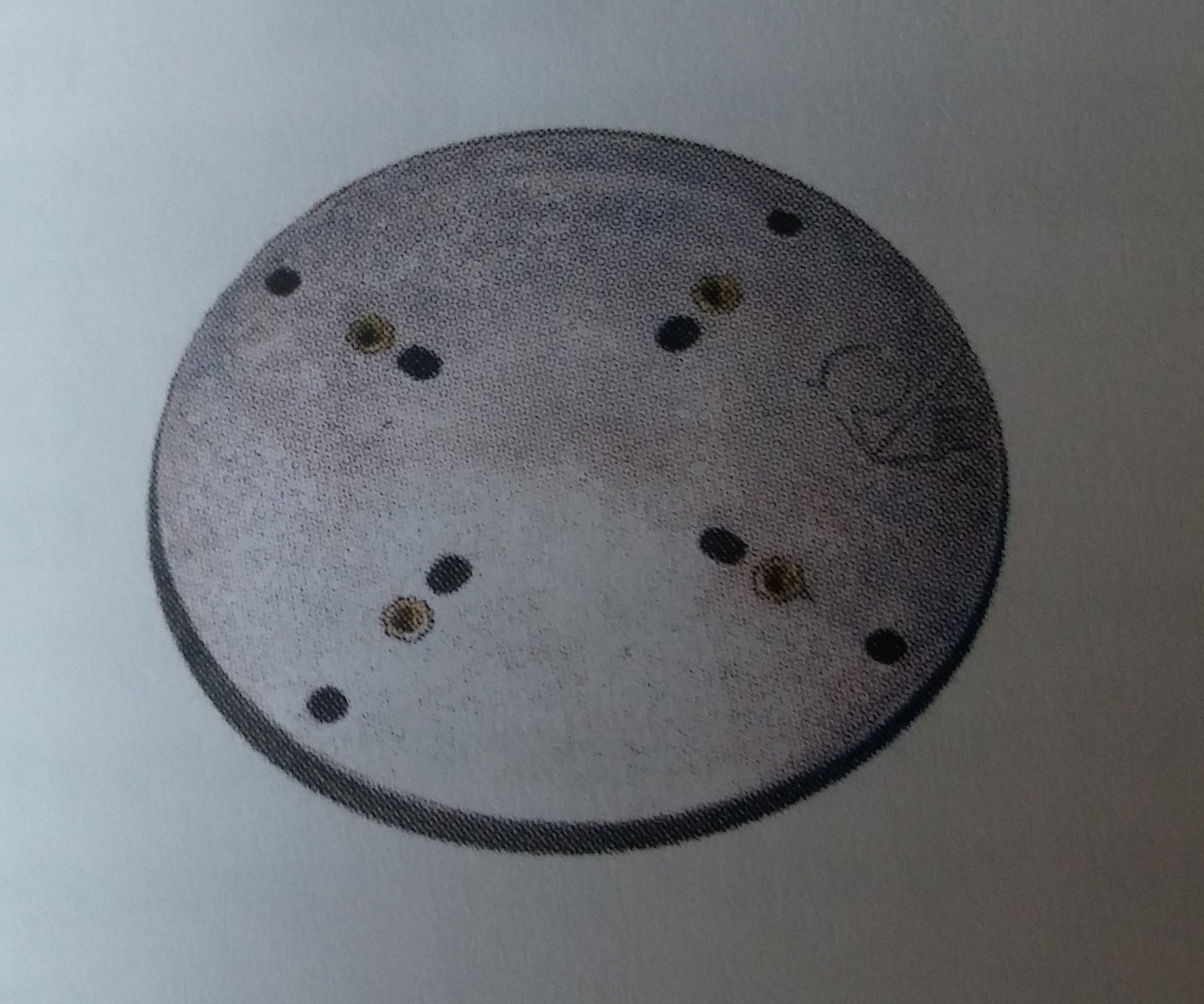 https://cdn.warentuin.nl/media/catalog/product/T/H/THEM8008884130884_zweefparasolvoet_borek_adapter_koppelstuk_gegalvaniseerde_ter_0738.jpg