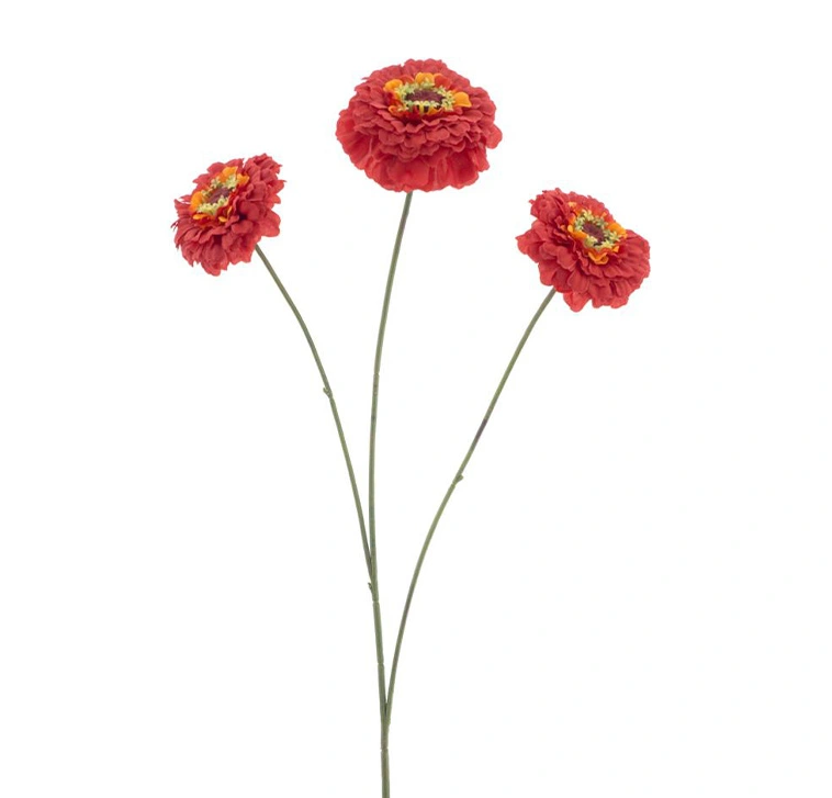 https://cdn.warentuin.nl/media/catalog/product/Z/i/Zinnia_elegans_spray_red_60_cm_eef9.png