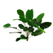 https://cdn.warentuin.nl/media/catalog/product/cache/26175cca2ac4859e078251b902fc0b74/t/h/thumbnail_aanbieding_z_1_.png