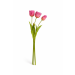 https://cdn.warentuin.nl/media/catalog/product/cache/26175cca2ac4859e078251b902fc0b74/t/u/tulproze1.png