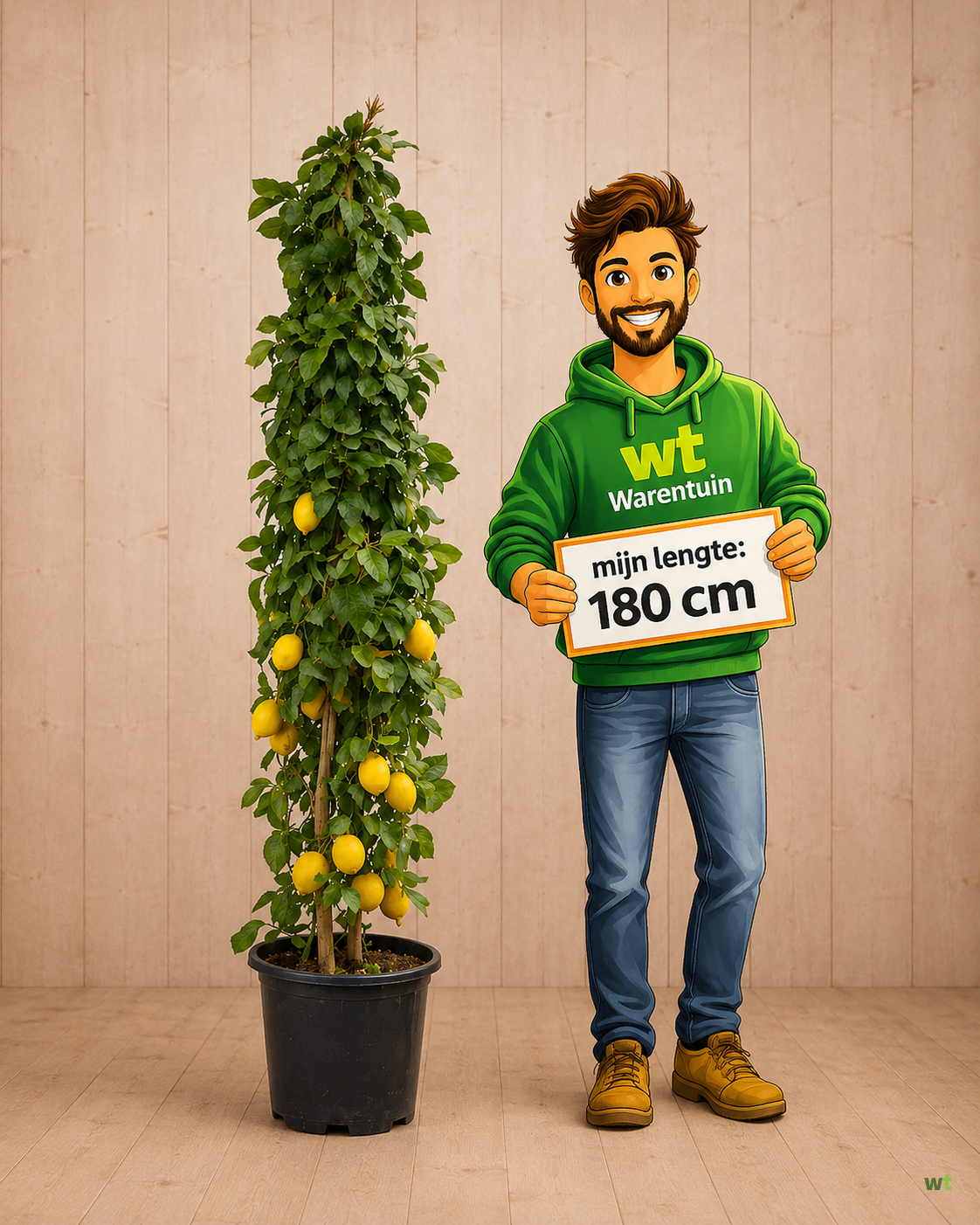 Actie 4: Citrusboom Citroen ±200 cm - Volle Plant - Warentuin Servicepunt