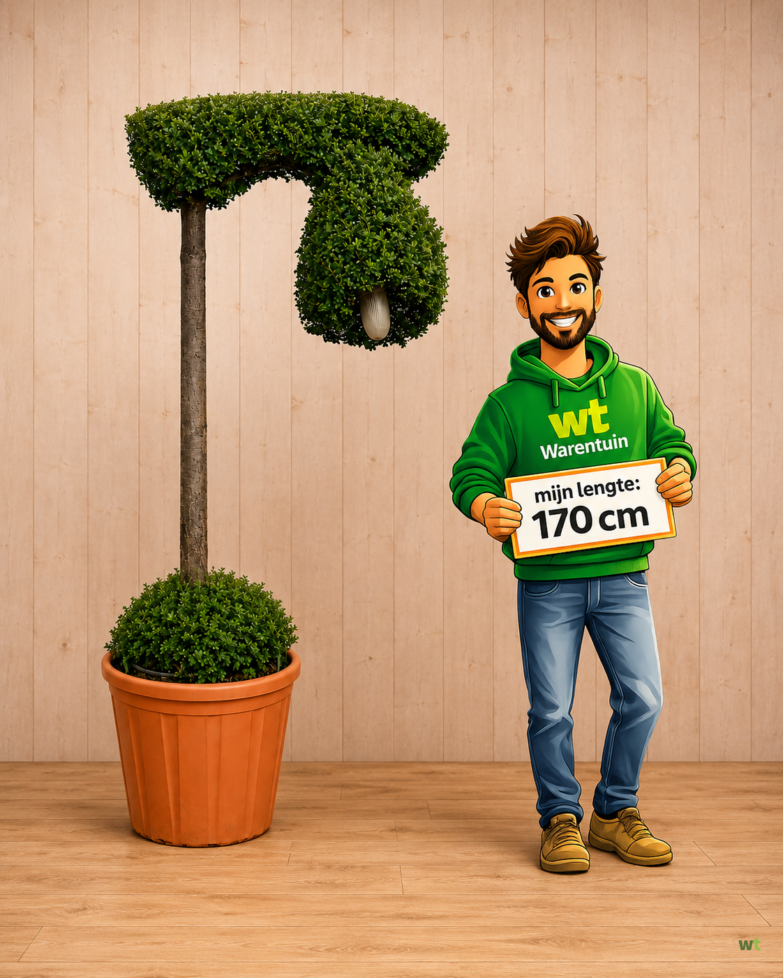 Actie 7: Ilex met echte lamp - ca. 250 cm hoog - exclusieve tuinplant - Warentuin Natuurlijk