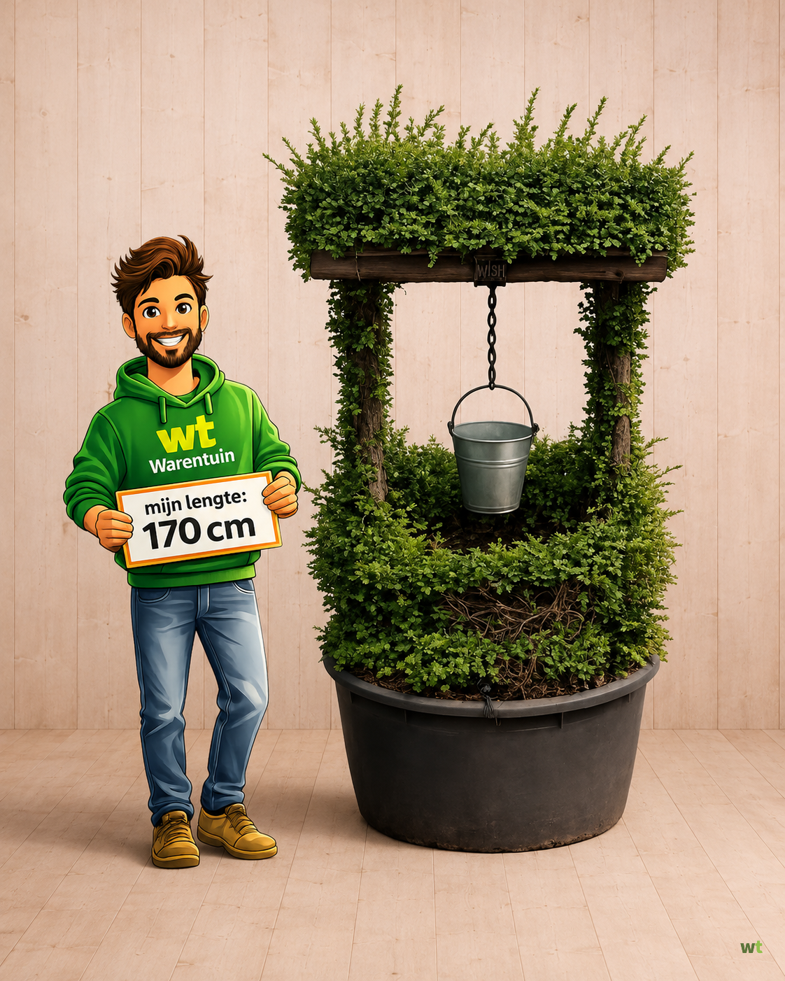Actie 9: Ilex wensput - ca. 200 cm hoog - exclusieve tuinplant - Warentuin Natuurlijk