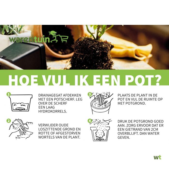 Capi Europe Pot vierkant Smooth NL zwart - De Capi Europe Pot vierkant Smooth NL zwart - De
