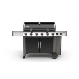 Genesis II LX E 640 Weber