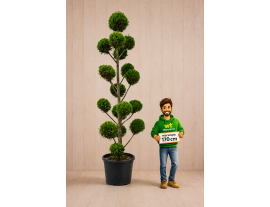 https://cdn.warentuin.nl/media/catalog/product/cache/ab41db1c3854634be55105e319fead35/d/c/dc78915e-169f-4b66-bbd5-869aaa70e613.png
