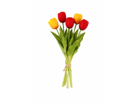 https://cdn.warentuin.nl/media/catalog/product/cache/ab41db1c3854634be55105e319fead35/r/o/roodgeeltupl1.png