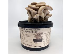 https://cdn.warentuin.nl/media/catalog/product/cache/ab41db1c3854634be55105e319fead35/r/o/rotterzwam_growkit_witte_achtergrond_01.jpg