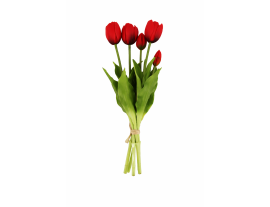 https://cdn.warentuin.nl/media/catalog/product/cache/ab41db1c3854634be55105e319fead35/t/u/tulp1.png