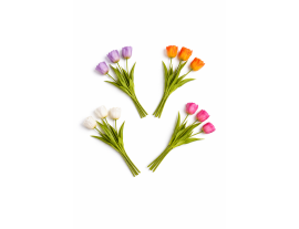 https://cdn.warentuin.nl/media/catalog/product/cache/ab41db1c3854634be55105e319fead35/t/u/tulpen2.png