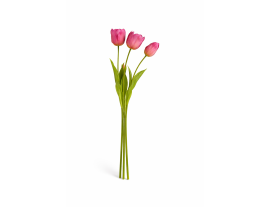 https://cdn.warentuin.nl/media/catalog/product/cache/ab41db1c3854634be55105e319fead35/t/u/tulproze1.png