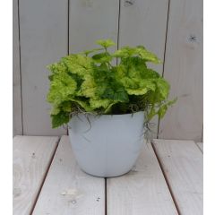 Kindje op moeders schoot witte pot 25 cm Warentuin Natuurlijk