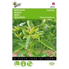 Zaden Basilicum Fijne Buzzy