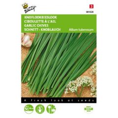 Zaden Chinese Knoflook - Bieslook Buzzy