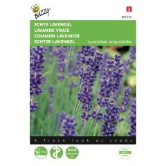 Zaden Echte Lavendel Buzzy