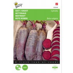 Zaden Biet / Kroot Cylindra Buzzy