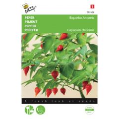Zaden Peper Biquinho Amarela Buzzy
