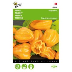 Zaden Peper Habanero oranje Buzzy