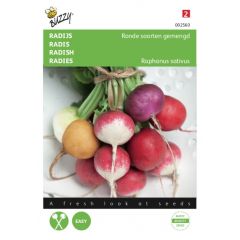 Zaden Radijs Ronde soorten gemengd Buzzy
