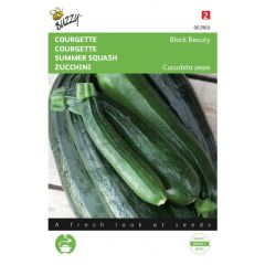 Zaden Courgette Black Beauty - Verte De Milan Buzzy