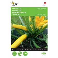 Zaden Courgette Gold Rush F1 Buzzy