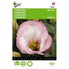 Lisianthus mini rosa Samen Buzzy