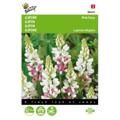 Zaden Lupinus Lupine Rose laag Pink Fairy Buzzy